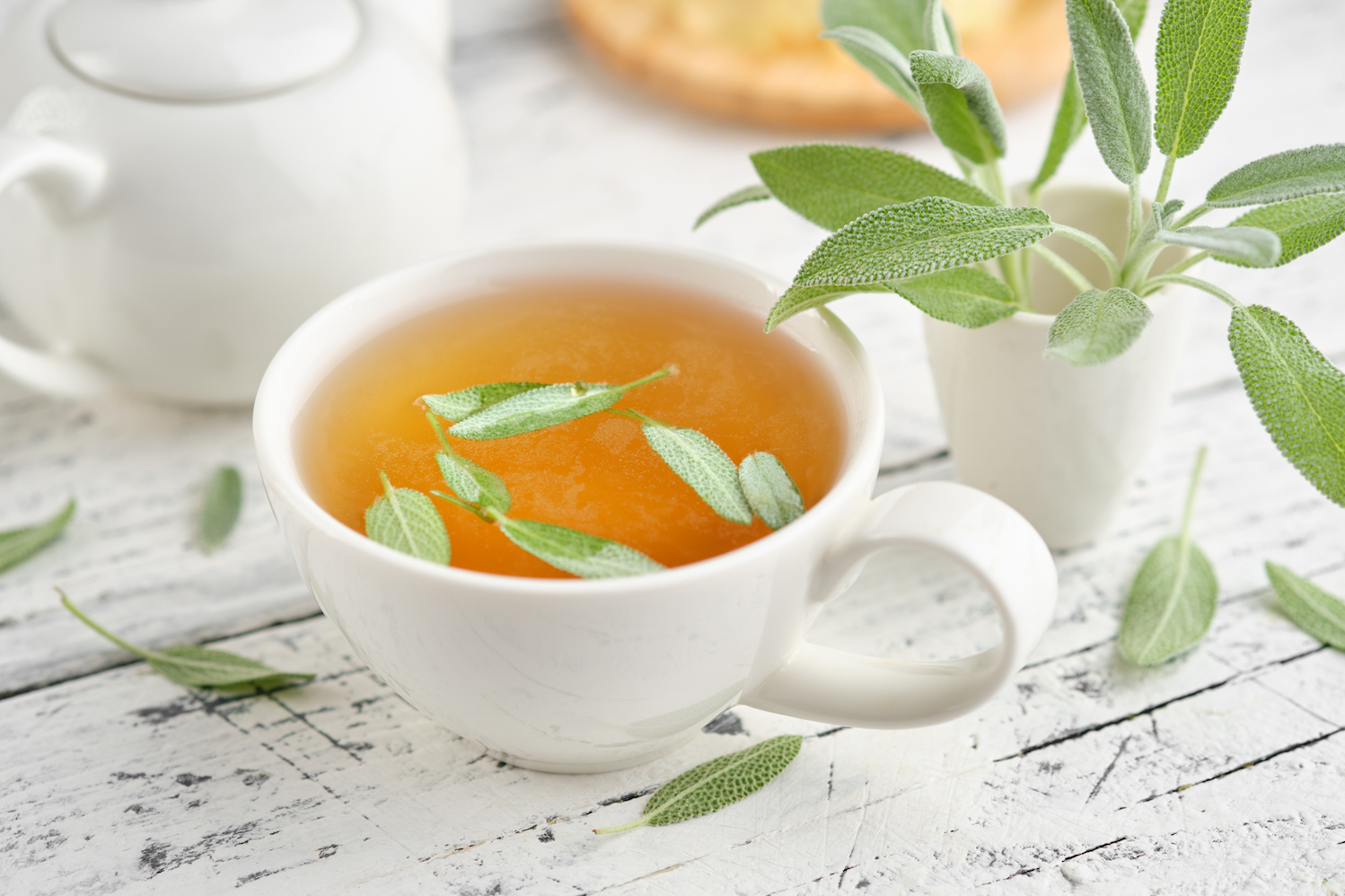 Krk Sage Tea