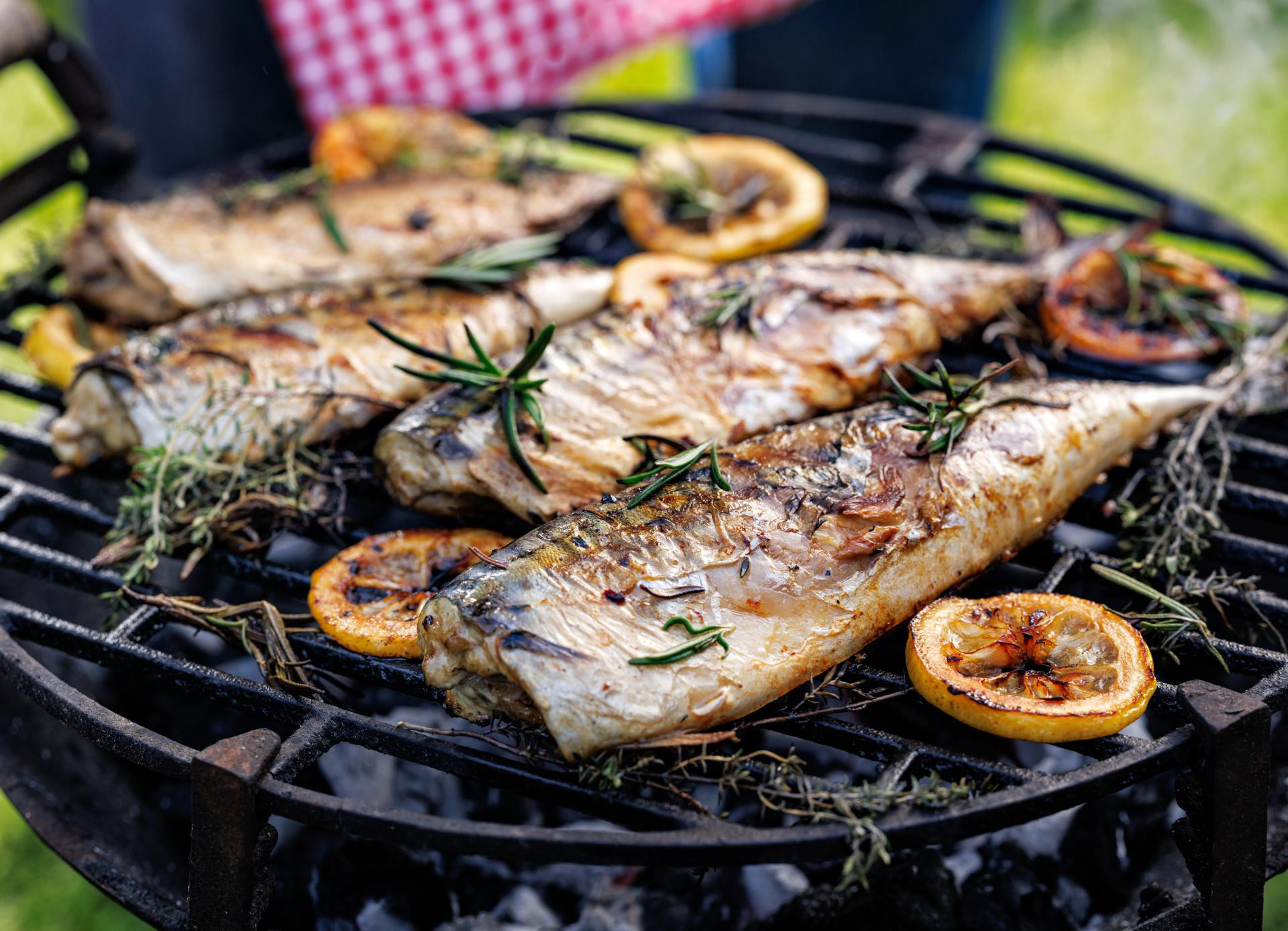 Kvarner Grilled Fish