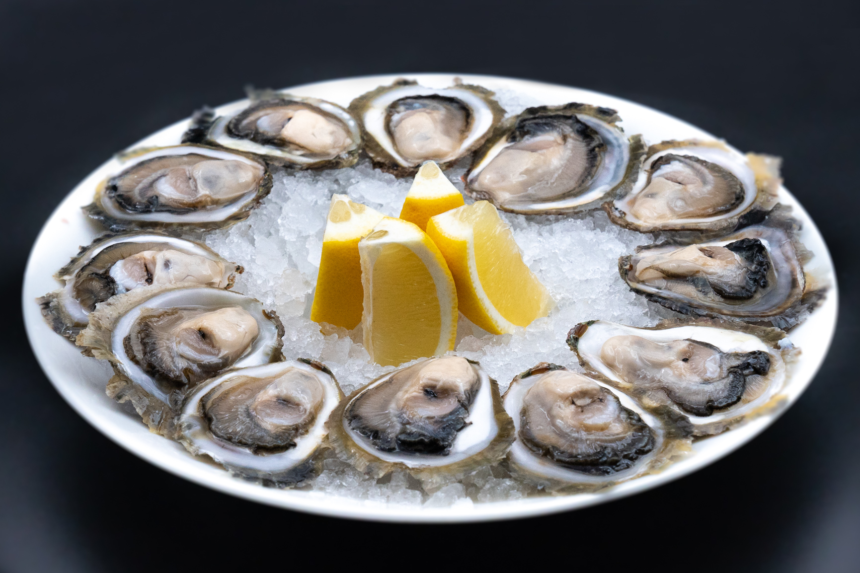 Fresh Adriatic Oysters