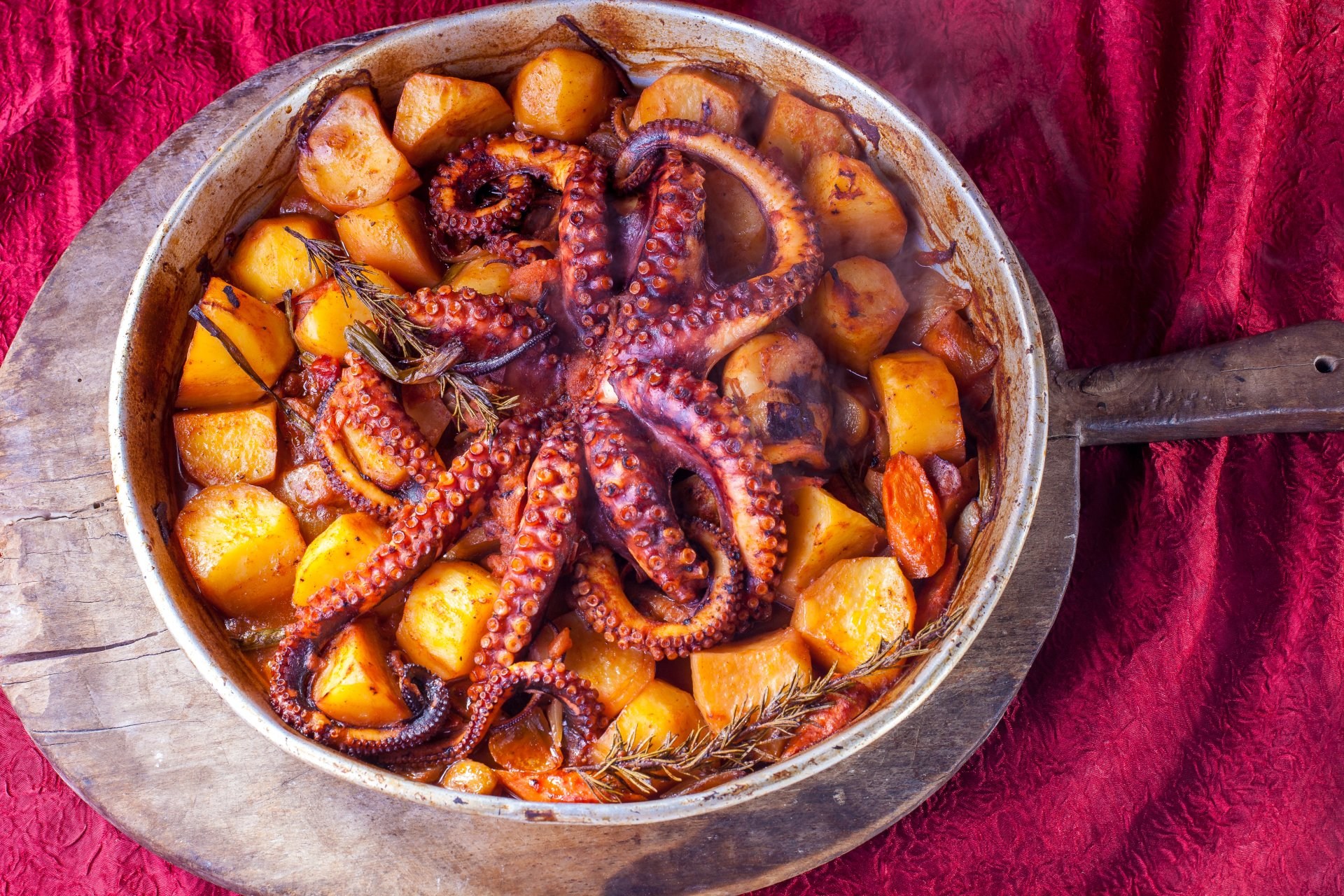 Oktopus unter der Peka